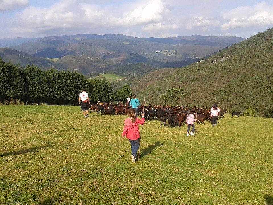 Hotel Rural Yeguada Albeitar Villayón 외부 사진
