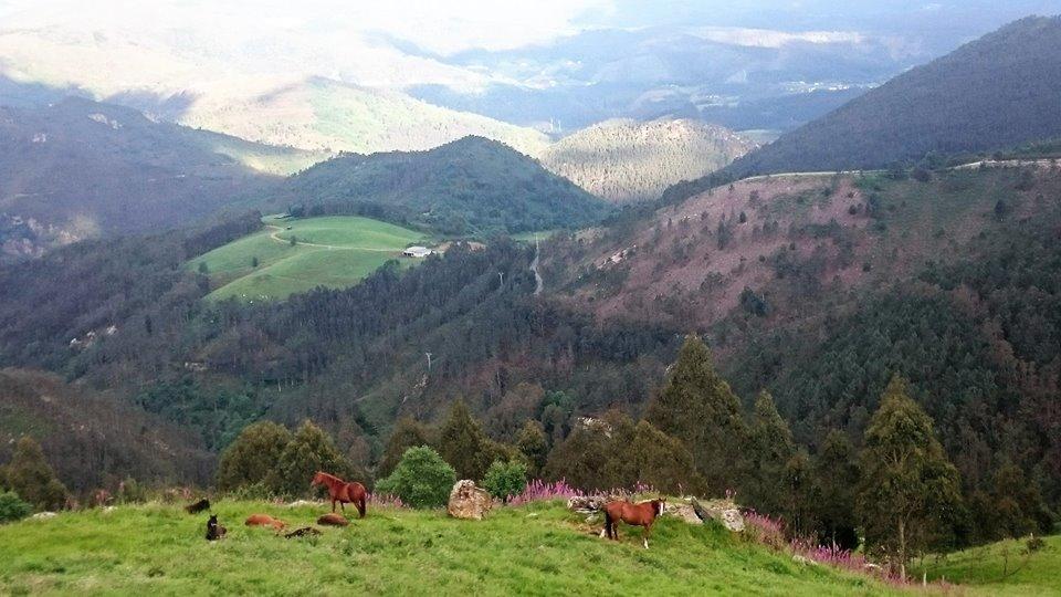 Hotel Rural Yeguada Albeitar Villayón 외부 사진